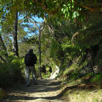 Walking in the Abel Tasman