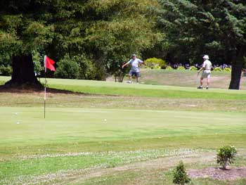 Motueka Golf Course, Tasman